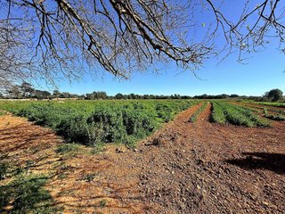 Casa rural en venta en Porreres