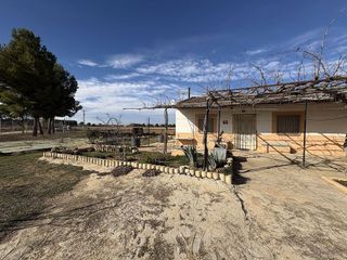 Chalet en venta en San Antonio Abad - Polígono San Antón en Albacete