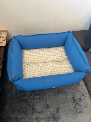 Cama para perro pequeño/cachorro