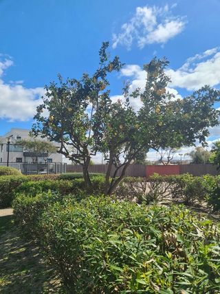 Ático en venta en El Pino-Bajo de Guía en Sanlúcar de Barrameda