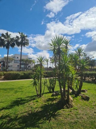 Ático en venta en El Pino-Bajo de Guía en Sanlúcar de Barrameda