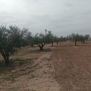 Local comercial en venta en Quintanar de la Orden