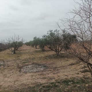 Local comercial en venta en Quintanar de la Orden