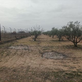 Local comercial en venta en Quintanar de la Orden