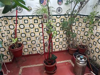 Casa adosada en venta en Coria del Río