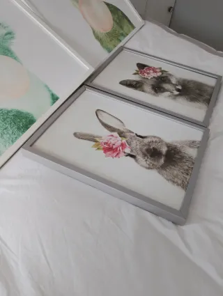 Set 4 Cuadros Animales Decoración.