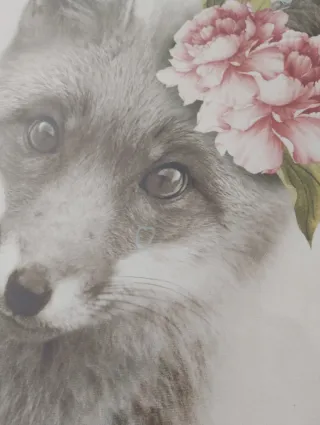 Set 4 Cuadros Animales Decoración.