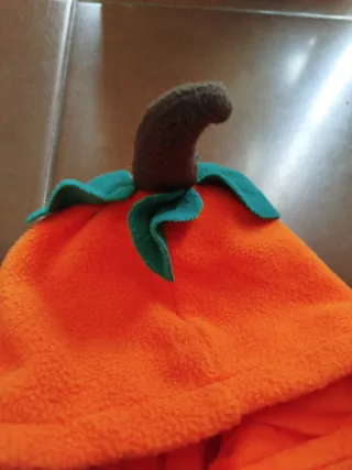 Disfraz calabaza talla 74 cm bebe