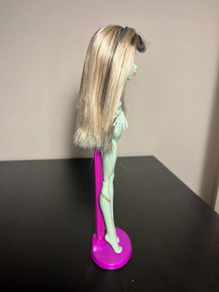 Monster High Frankie Stein 13 Desideri