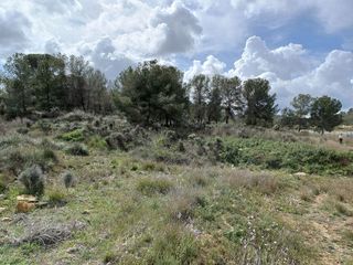 Casa rural en venta en Abanilla