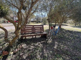 Casa rural en venta en Manacor Centro en Manacor