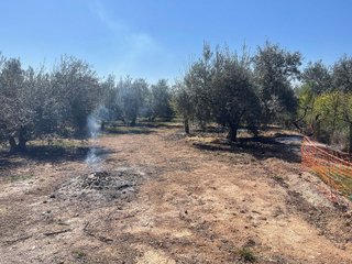 Casa rural en venta en Albolote