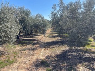 Casa rural en venta en Albolote