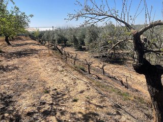Casa rural en venta en Albolote