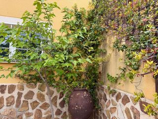 Chalet en venta en Los Cigarrales-La Bastida en Toledo