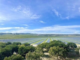 Piso en venta en Cabo Roig - La Zenia en Orihuela