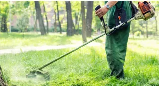 Servicios de jardinería