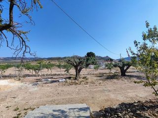 Casa rural en venta en Algueña