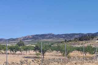 Casa rural en venta en Algueña