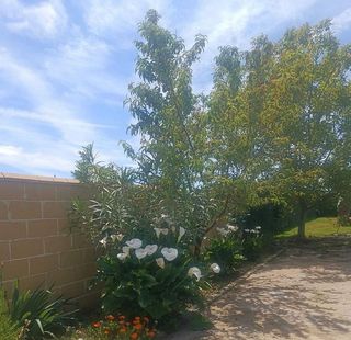 Chalet en venta en Villamayor