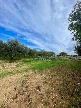 Masía en venta en Centre Vila en Vilafranca del Penedès