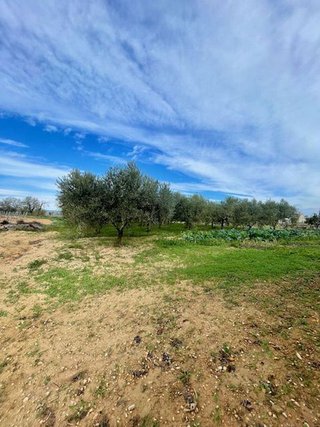 Masía en venta en Centre Vila en Vilafranca del Penedès