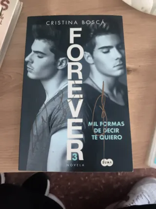 Libro de los gemeliers