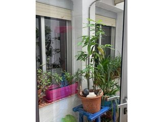 Chalet en venta en Centro en Puertollano