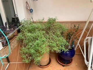 Chalet en venta en Centro en Puertollano