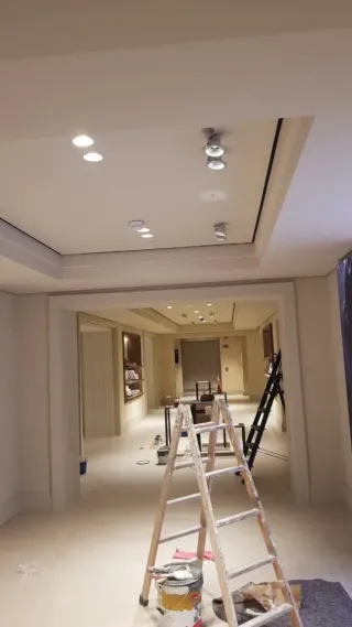 Pintor profesional económico