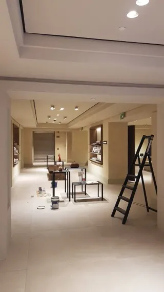 Pintor profesional económico