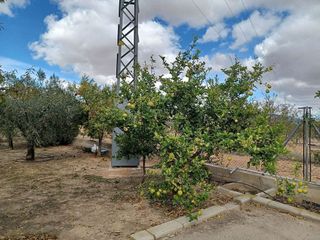 Casa rural en venta en Monóvar/Monòver