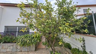 Chalet en venta en Mas Alba en Sant Pere de Ribes