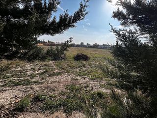 Chalet en venta en Dolores