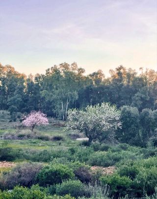 Finca rústica cerca de Mérida