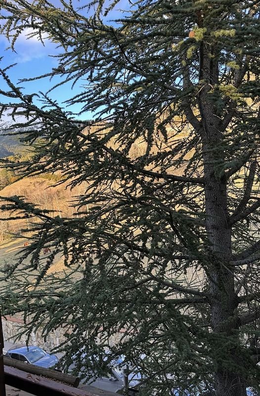 3-bedroom flat for sale in Segudet, Ordino · 16 of 20