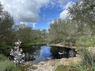 Casa rural en venta en Campos