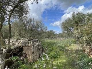 Casa rural en venta en Campos