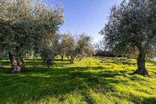 Casa rural en venta en Otura