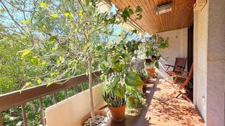 Piso en venta en Centro en Gandia