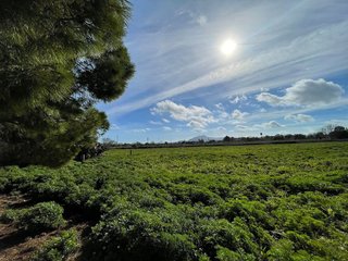Casa rural en venta en Felanitx