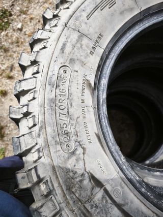 Fedima 4x4 2020