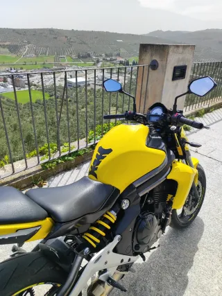 Kawasaki ER6N