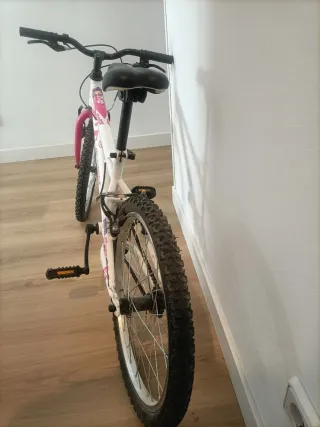 Bicicleta infantil 20 Denbike