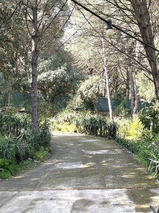 Casa en venta en San Roque en San Roque