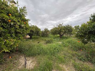 Chalet en venta en Mula