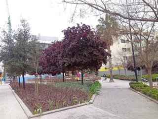 Piso en venta en Gavarra en Cornellà de Llobregat