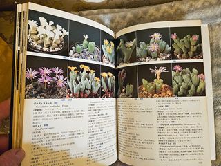 Colour encyclopaedia of succulents