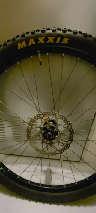 Llanta MTB 29 Maxxis Oxygen