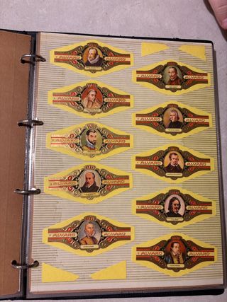 Vitoals de colección Serie Literatos